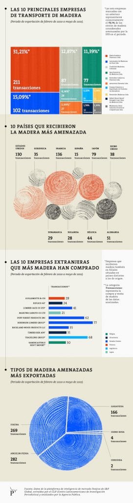 Infografía: Cintia Funchal / Agência Pública