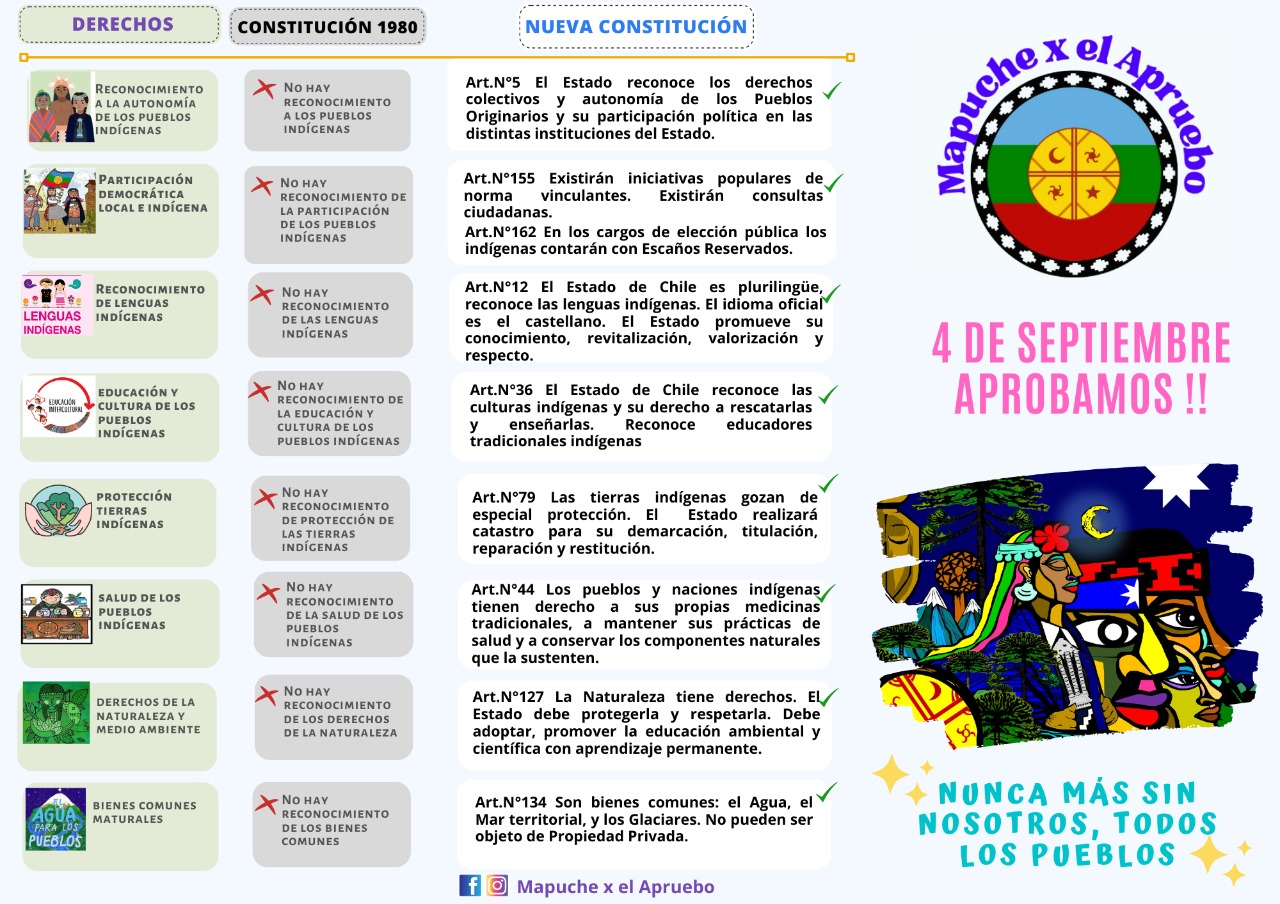 Extracto de material de la campaña “Mapuche por el apruebo" Extracto de material de la campaña “Mapuche por el apruebo"