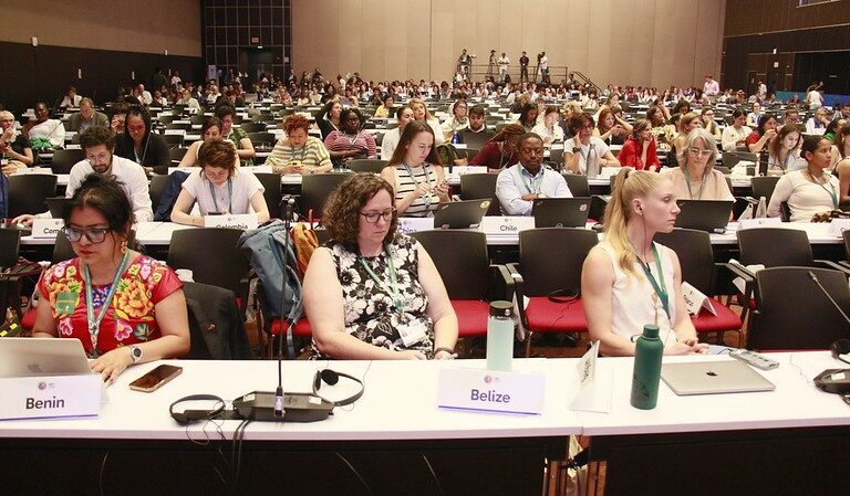 Asistentes a una de las sesiones de la COP16 dedicada al tema de la protección de los defensores de los derechos humanos ambientales. Foto: UN Biodiversity