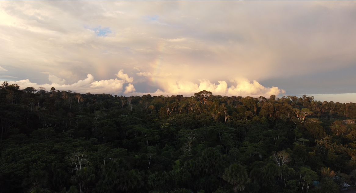 Bosque de Mashientz que forma parte del área de conservación de la comunidad. Foto: Sebastián Espín / Conservación Internacional Ecuador