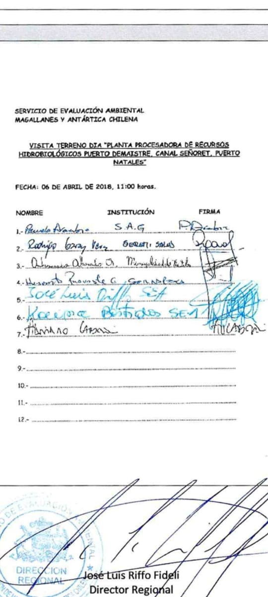 Acta de visita firmada por Bastidas como funcionaria del SEA cuando representaba a la salmonera Australis Acta de visita firmada por Bastidas como funcionaria del SEA cuando representaba a la salmonera Australis