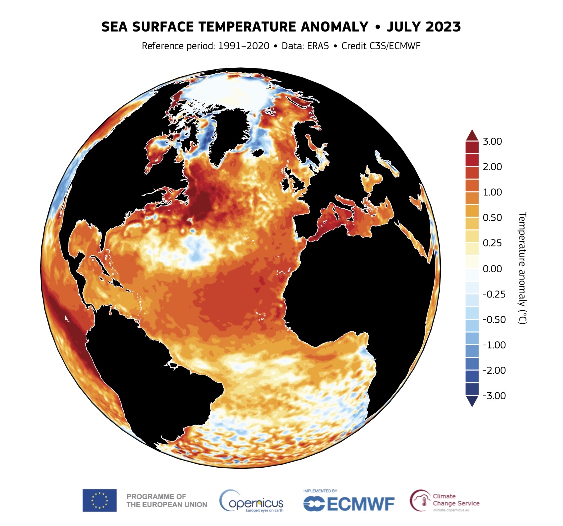 Anomalía de la temperatura de la superficie del mar (C) para julio de 2023. Fuente de datos ERA5. Crédito Servicio de Cambio Climático Copernicus ECMWF.