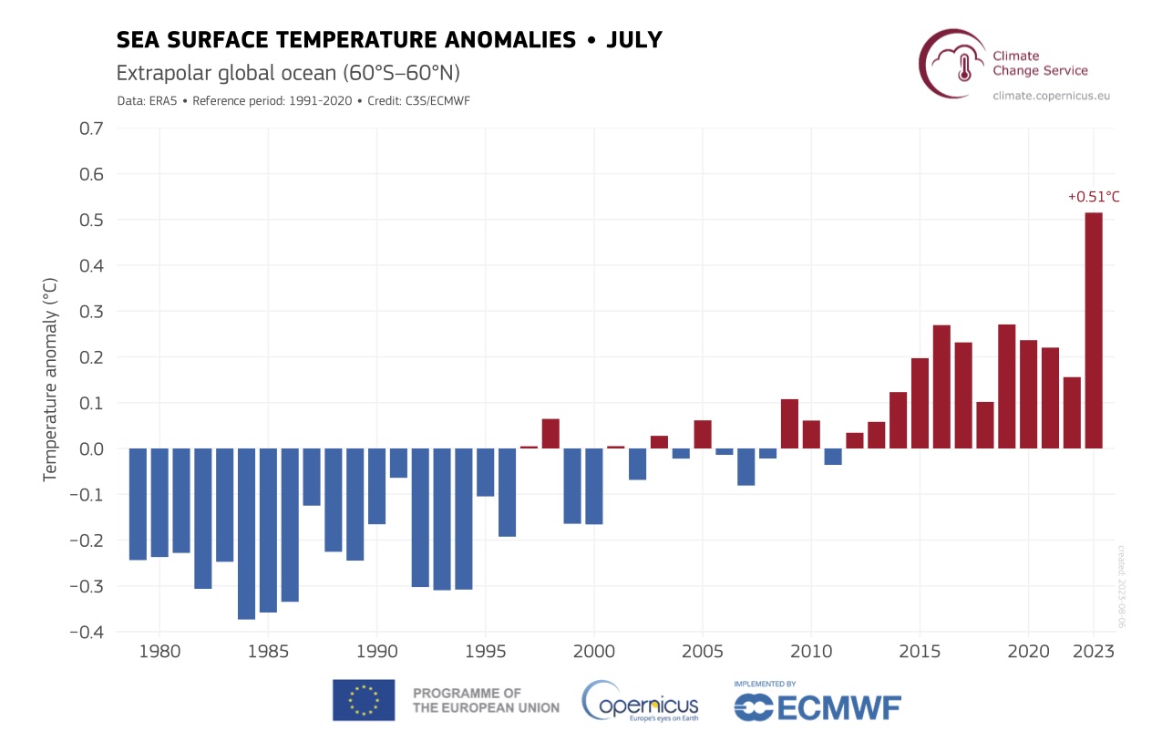 Anomalías de la temperatura de la superficie del mar (C). Fuente de datos ERA5. Crédito Servicio de Cambio Climático Copernicus ECMWF.