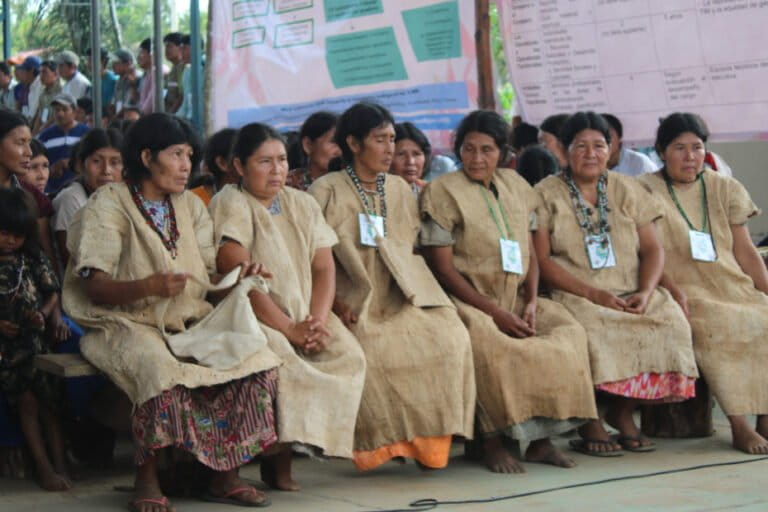 Mujeres indígenas del TIM decidieron optar por la autonomía. Foto: cortesía OEP Mujeres indígenas del TIM decidieron optar por la autonomía. Foto: cortesía OEP