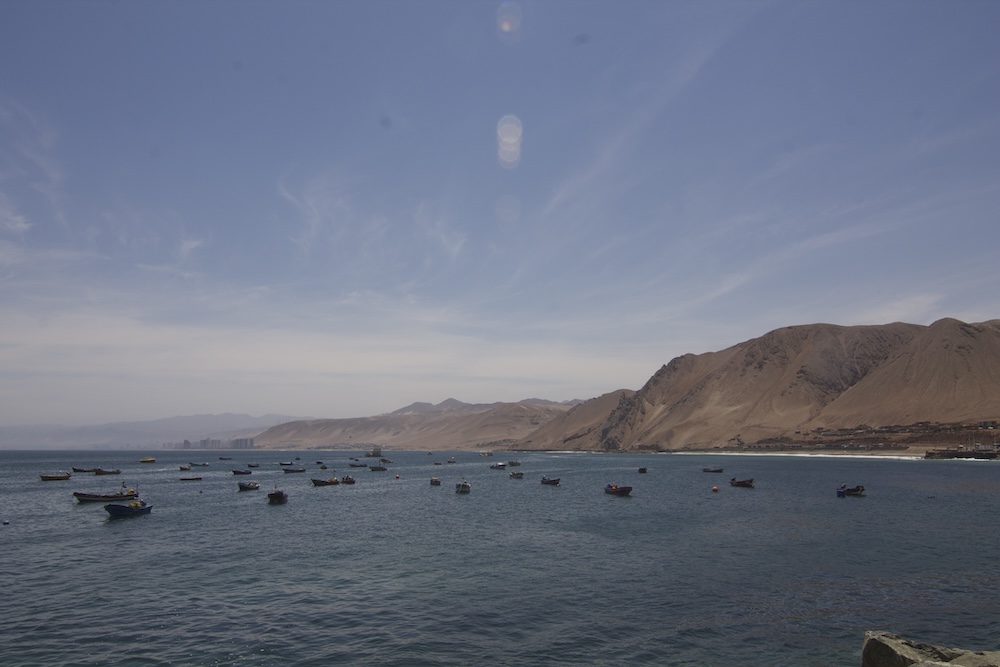 Barcos artesanales en Caleta Antofagasta. Foto: Barinia Montoya