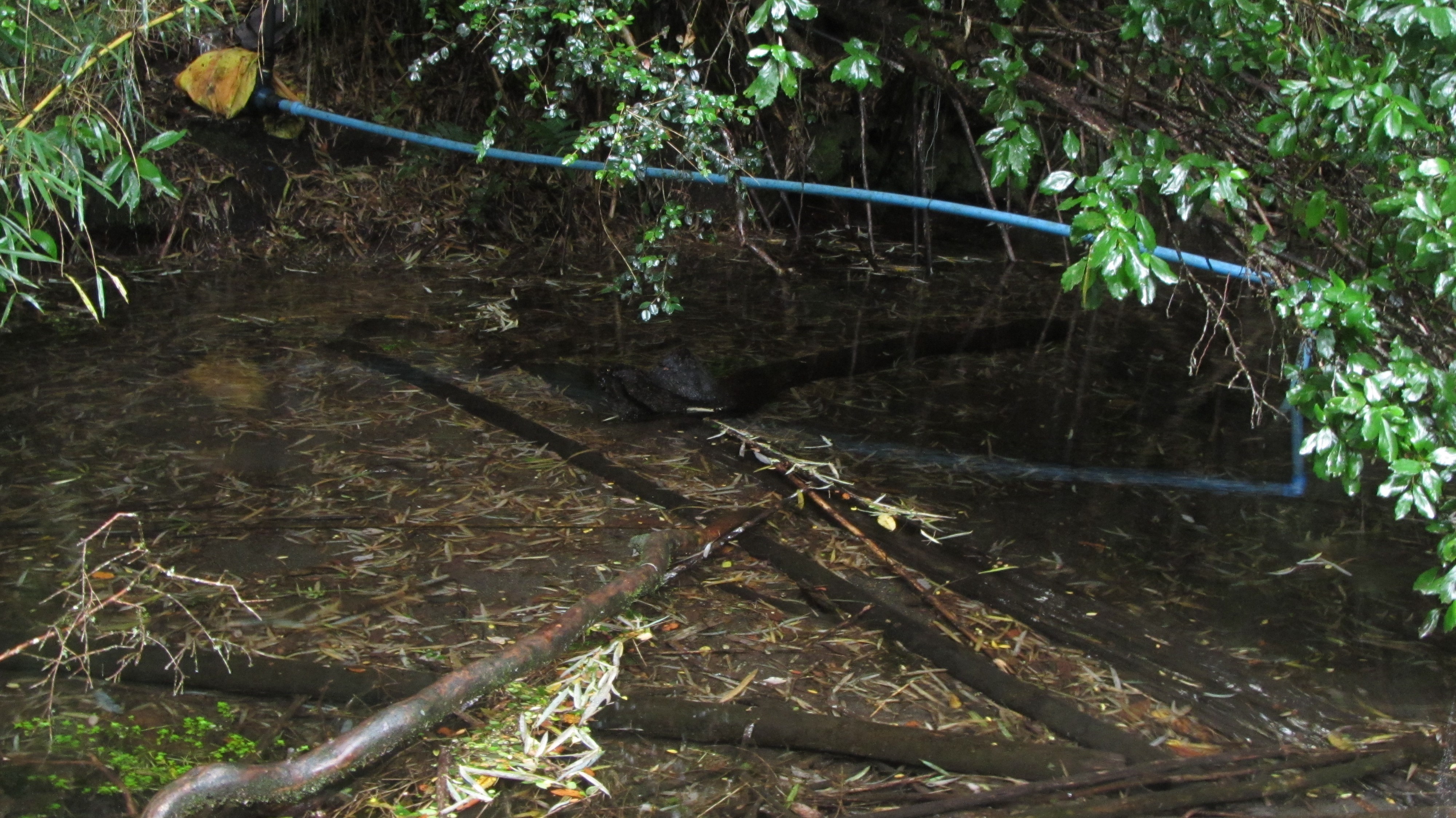 Bomba de agua que abastece a parte de la comunidad Mariano Millahual