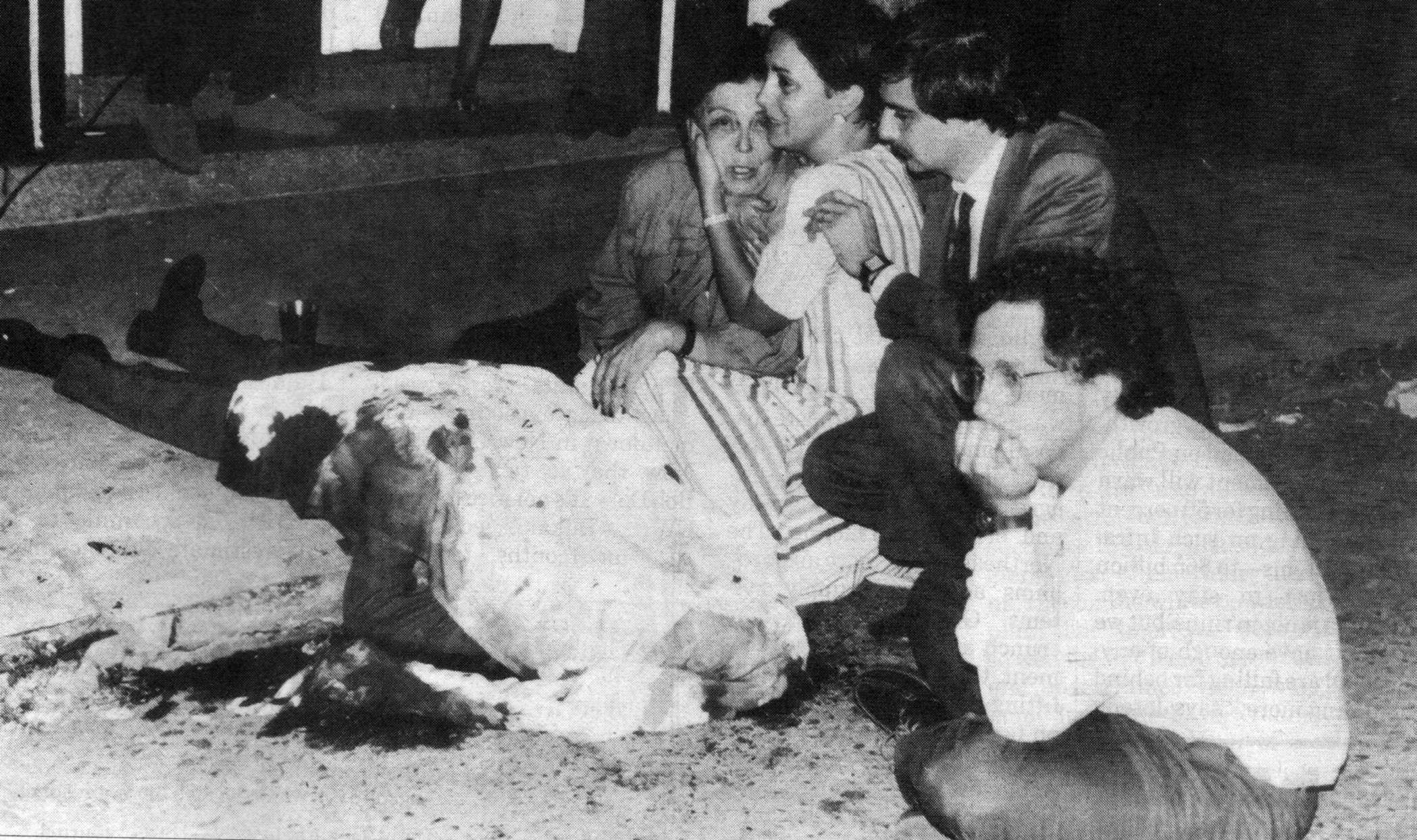Violencia cotidiana en Medellín Violencia cotidiana en Medellín