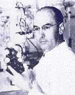 Albert Hofmann.