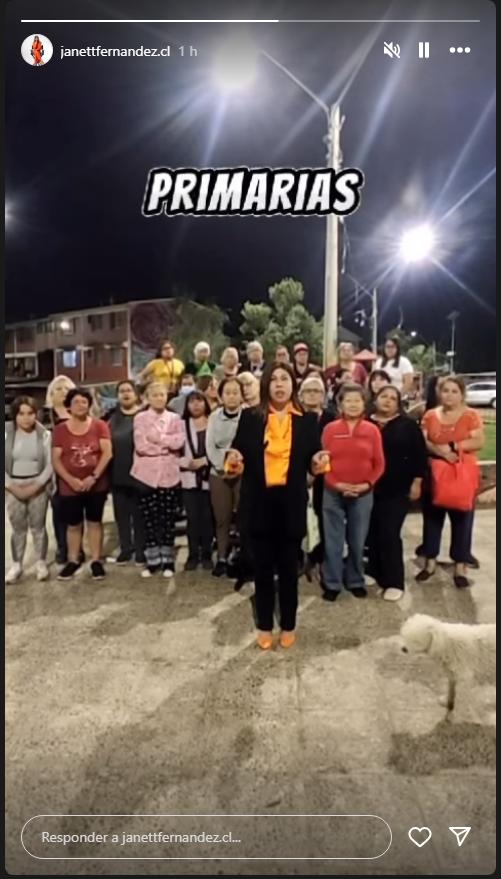 A través de su Instagram, Fernández pidió primarias a Cecilia Pérez y RN este sábado.