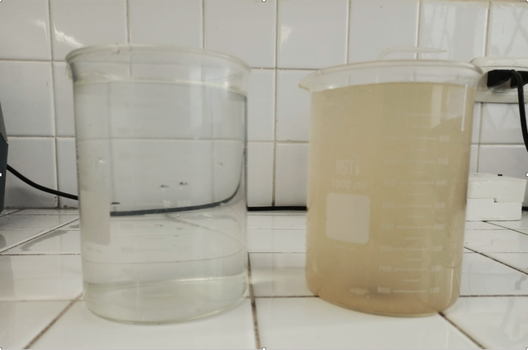 A la izquierda, agua potable y a la derecha, agua cruda. En noviembre de 2022, el agua del río Payamino que llegaba a la zona de captación de Francisco de Orellana tenía alta presencia de sedimentos y materia flotante liviana.