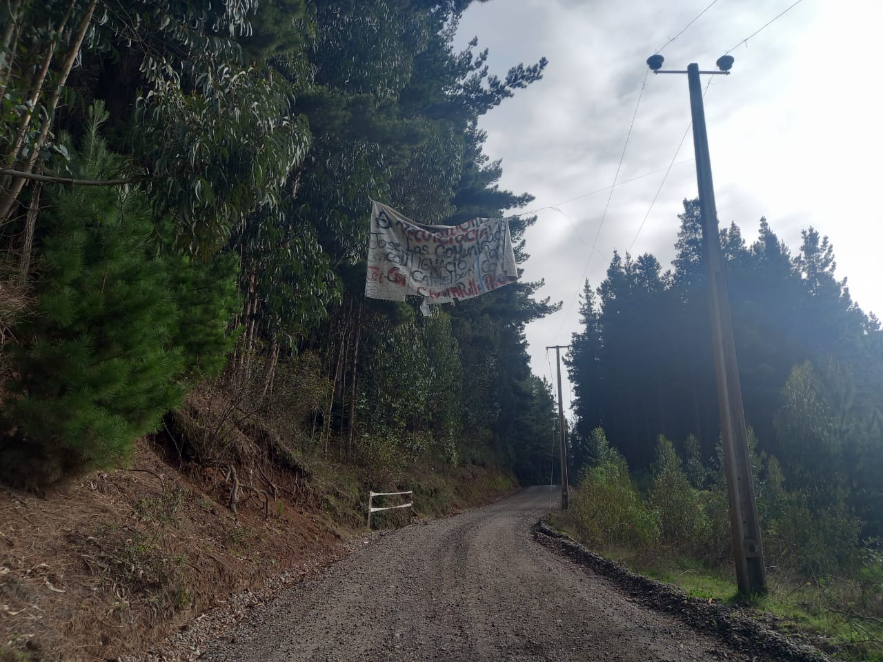 Entrada del Fundo Santa Ana de Forestal Mininco