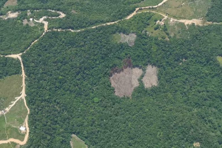 Deforestación causada por coca dentro del Parque Nacional Catatumbo, en 2019. Foto: Fuerza de Tarea Vulcano del Ejército de Colombia Deforestación causada por coca dentro del Parque Nacional Catatumbo, en 2019. Foto: Fuerza de Tarea Vulcano del Ejército de Colombia