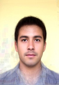 Chileno promedio Chileno promedio