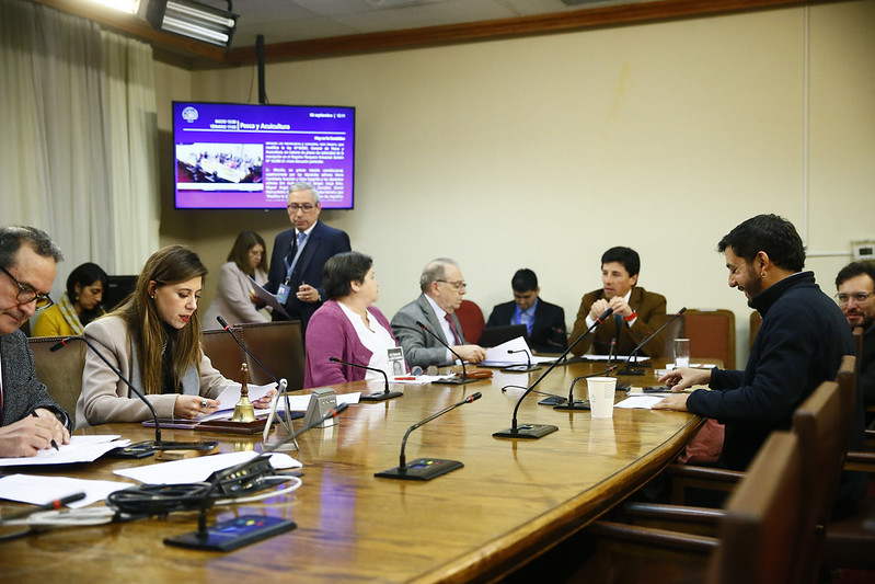 Comisión de pesca de la cámara de diputados. foto: Cámara de diputados.