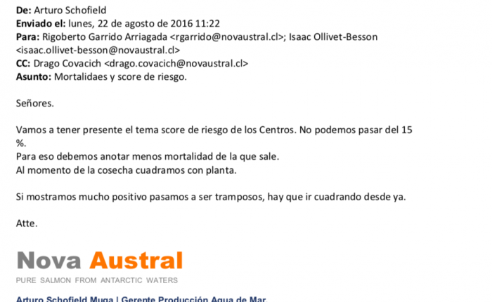 Correo de Nova Austral que pide esconder mortalidades.