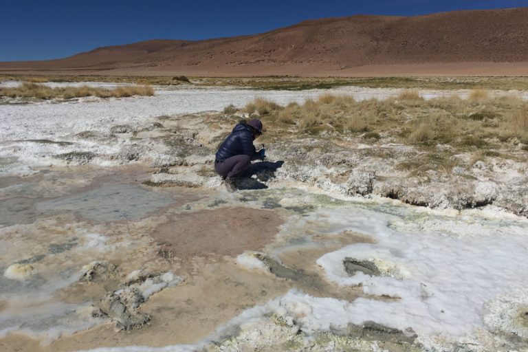 Cristina Dorador estudia desde hace más de 15 años las comunidades microbianas de ambientes acuáticos de altura.