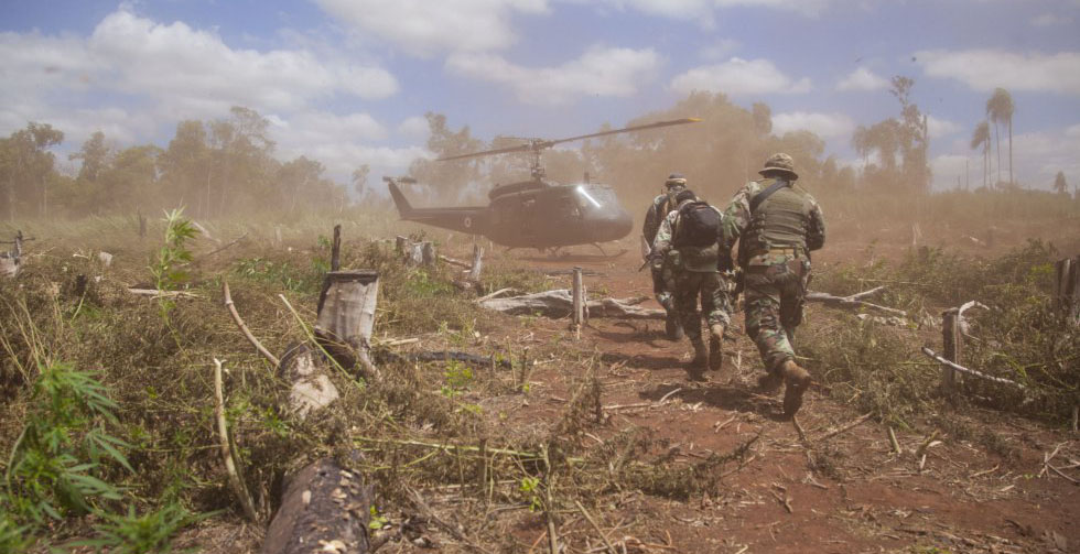 El ejército quema plantíos El ejército quema plantíos