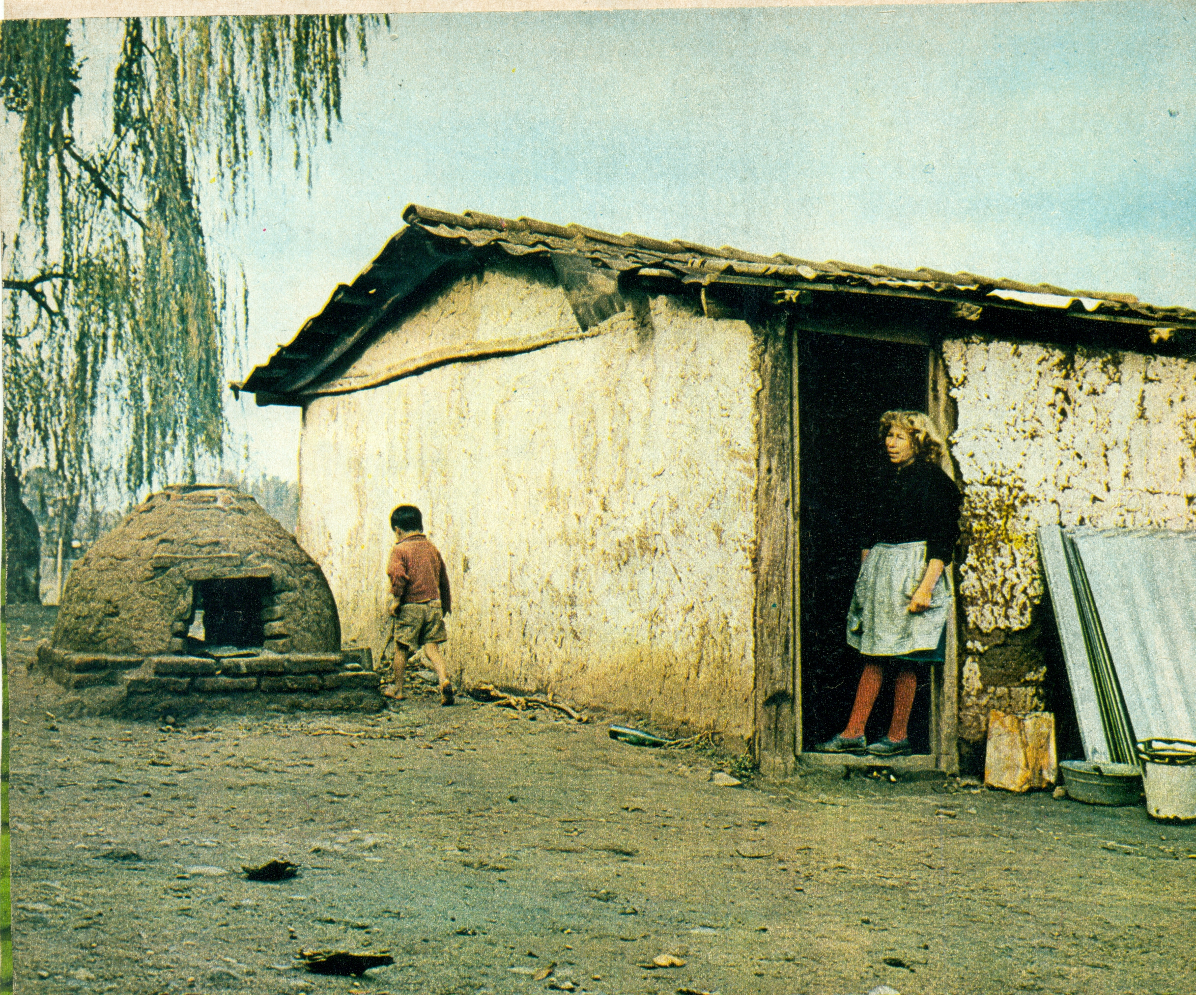 El paisaje tradicional del campo durante décadas. Foto de Hernán Castillo. El paisaje tradicional del campo durante décadas. Foto de Hernán Castillo.