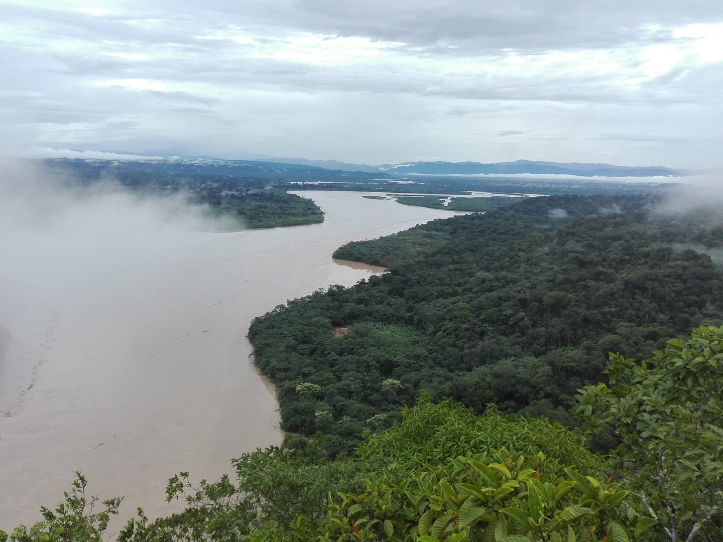 El Parque Nacional Madidi es una de las áreas protegidas amenazadas por la minería de oro. Foto: Radamir Sevillanos. El Parque Nacional Madidi es una de las áreas protegidas amenazadas por la minería de oro.