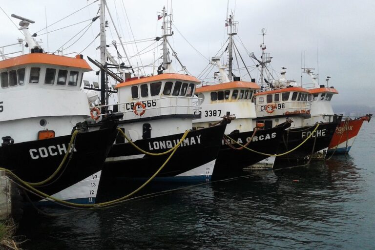 El proyecto de ley propone en el artículo 19 el congelamiento de la huella de arrastre, fijando la atribución de limitar y restringir este arte de pesca a la Subsecretaría de Pesca (Subpesca). Foto: Sonapesca. El proyecto de ley propone en el artículo 19 el congelamiento de la huella de arrastre.