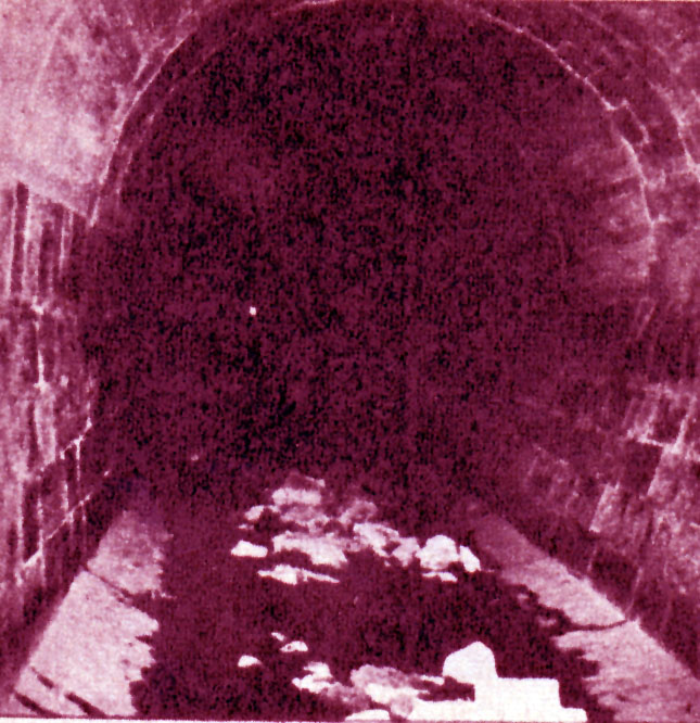 El túnel donde se hallaron los cuerpos.