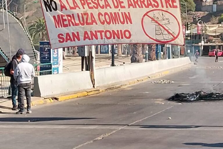 En el Senado, la cuota de merluza común para el sector artesanal volvió a disminuir al 43 % y a la industria se le asignó un 57 %. Foto: cortesía Maritza Carretero En el Senado, la cuota de merluza común para el sector artesanal volvió a disminuir al 43 % y a la industria se le asignó un 57 %. Foto: cortesía Maritza Carretero