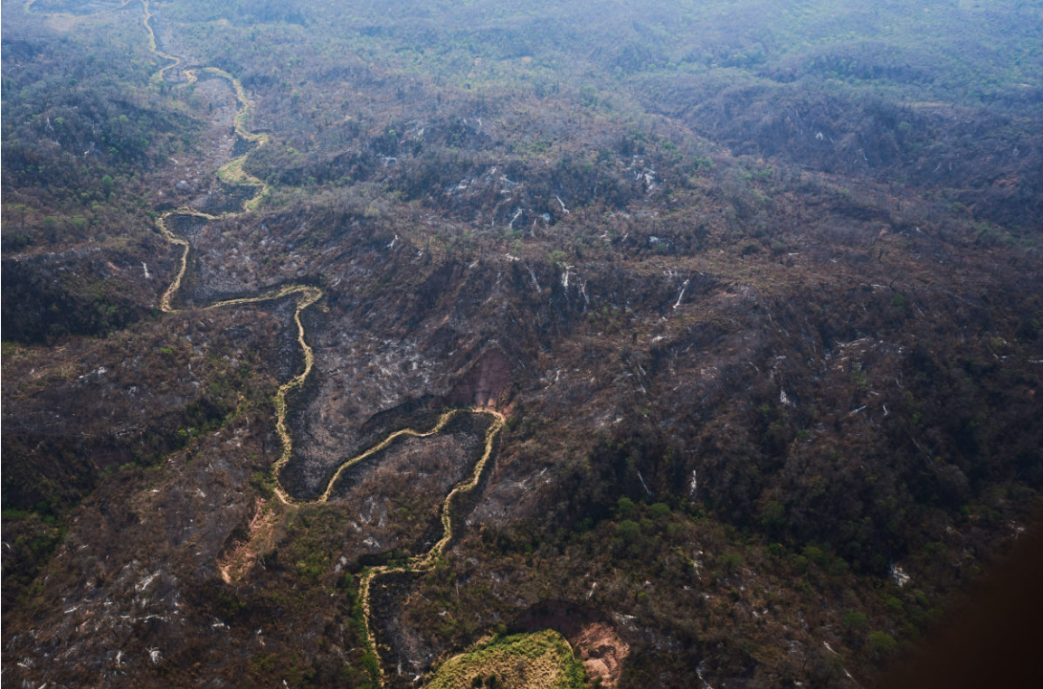 (Archivo) La Selva de Yungas cerca de Orán, al norte de Salta (Argentina), está cubierta de humo, fuego y cenizas. Foto: Greenpeace Argentina.