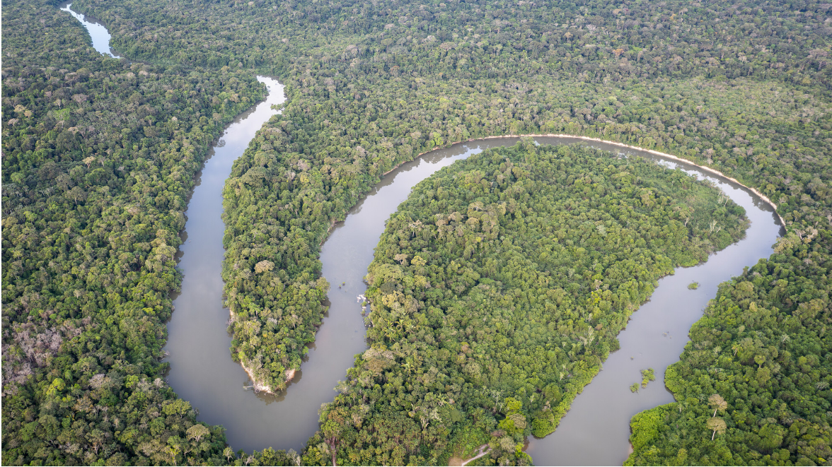 La Amazonía es una región prioritaria para conservar y también uno de los lugares más peligrosos para los defensores. Foto: Cícero Pedrosa Neto / Global Witness.