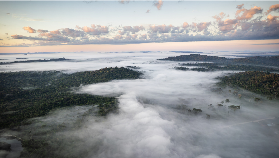 El informe de Global Witness 2023 hace un llamado urgente para proteger a los defensores ambientales y conservar la Amazonía. Foto: Cícero Pedrosa Neto / Global Witness.