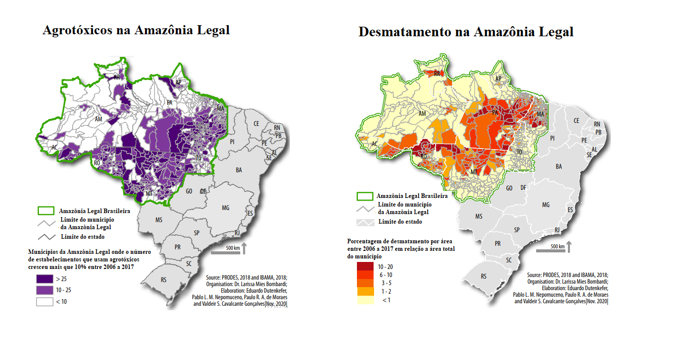 Imagen extraída de un trabajo organizado por Bombardi. Imagen extraída de un trabajo organizado por Bombardi.