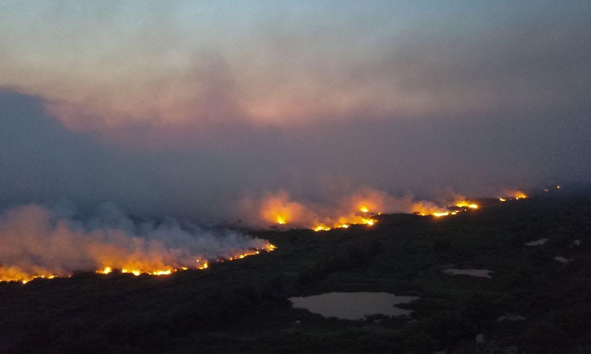 Con Bolsonaro como presidente, Ibama impuso menos multas en Brasil; incluso teniendo un récord en los incendios y la deforestación (Foto: Chico Ribeiro/Gobierno MT)