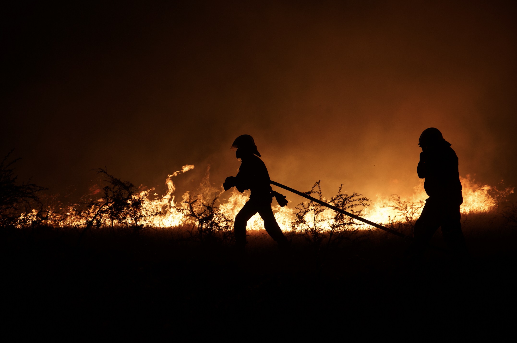 Brigadistas combaten los incendios en las cercanías de Chillán Viejo. Crédito: Diego Martín / Agencia Uno. Brigadistas combaten los incendios en las cercanías de Chillán Viejo. Crédito: Diego Martín / Agencia Uno.