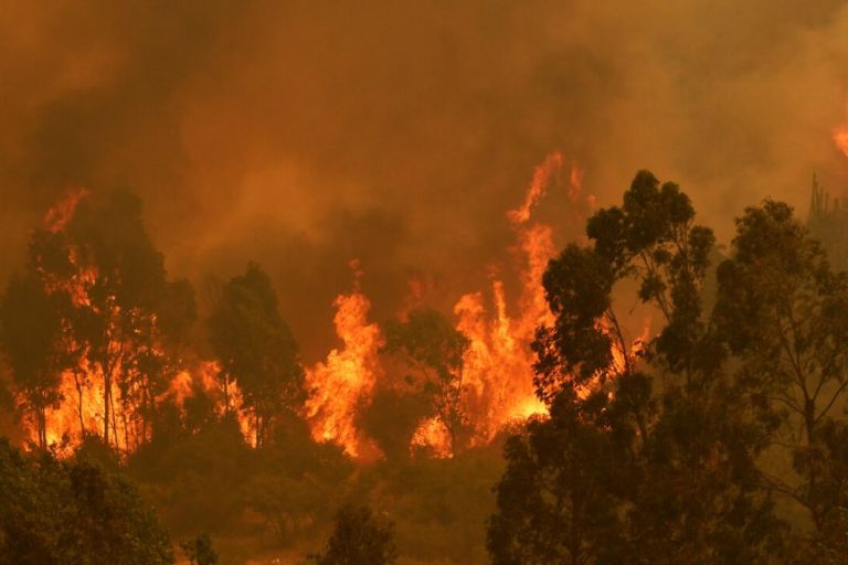 Incendios forestales en Chile. Foto Agencia Uno.