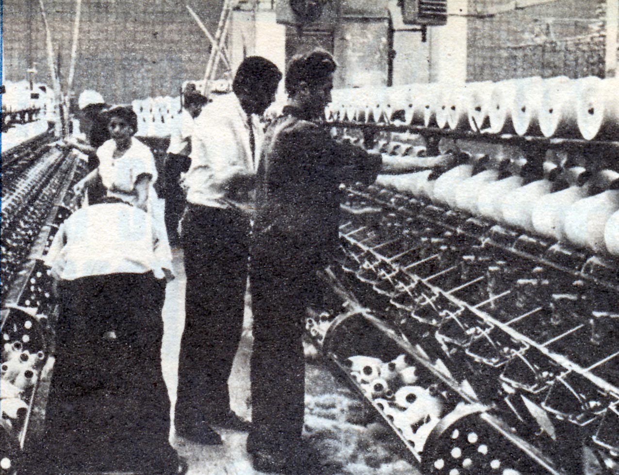 Industria textil. Industria textil.