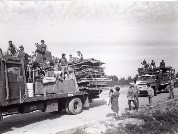 Erradicación de los campamentos. Erradicación de los campamentos.