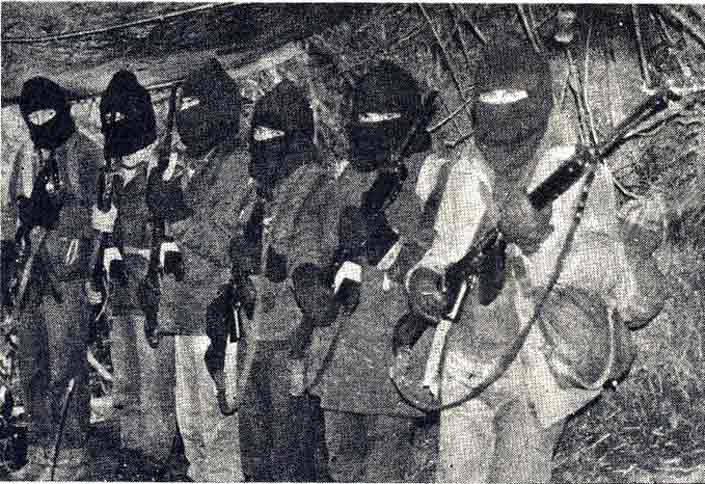 La guerrilla de Neltume La guerrilla de Neltume