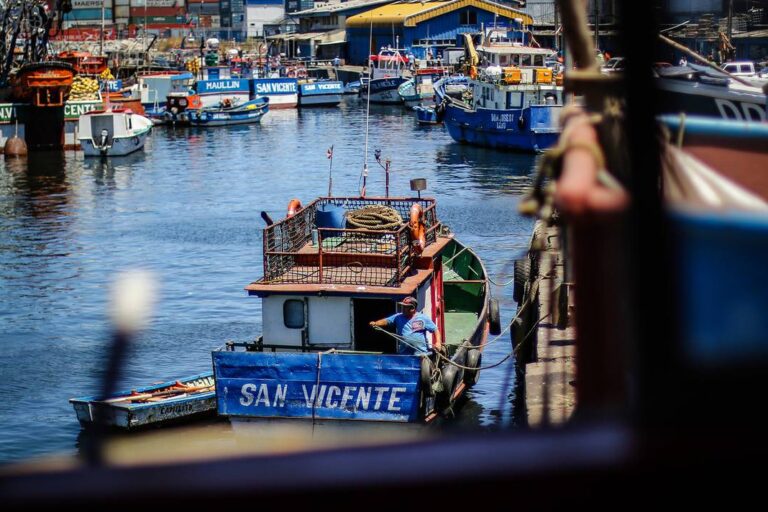 La pesca de arrastre de fondo es catalogada, globalmente, como una de las más perjudiciales para los ecosistemas marinos. Foto: Terram. La pesca de arrastre de fondo es catalogada.