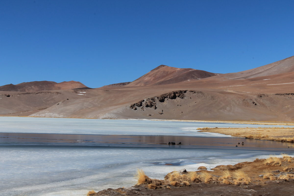 Laguna Santa Rosa. Foto: Barinia Montoya