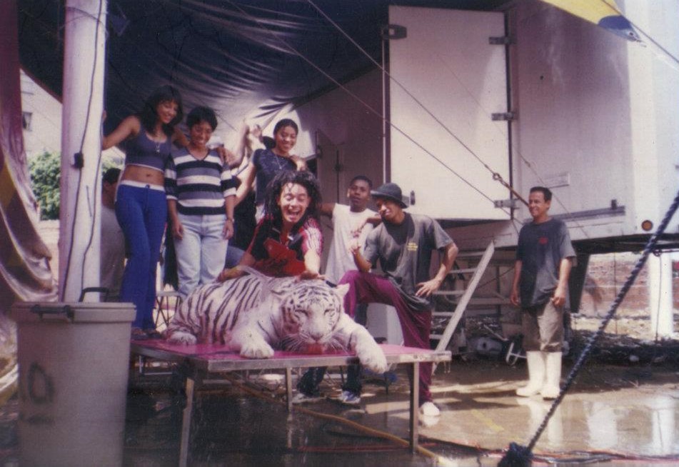 Lun Lee baña y cepilla al tigre de bengala Ramadán que los acompañó durante la gira del circo en Colombia.