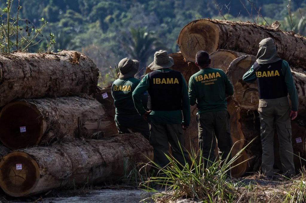 Ibama durante la acción de vigilancia sobre la custodia de la madera y la deforestación ilegal en 2008 (Foto: Fernando Augusto/Ibama)