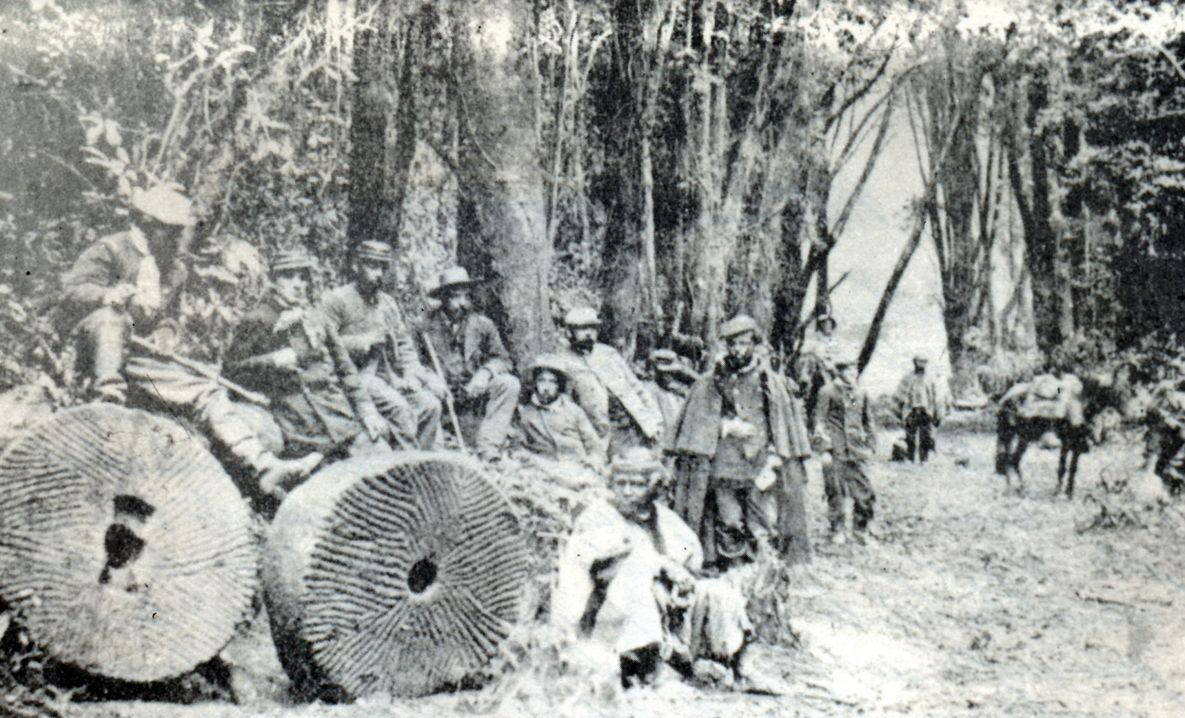 Ocupación de Villarrica por el Ejército del Sur en 1882. (Museo Regional de La Araucanía).