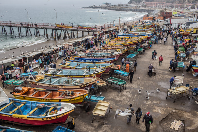 Pesca artesanal en Valparaíso. Foto Oceana.
