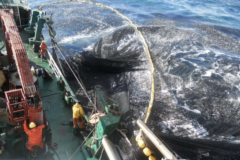 Pesca de jurel. Foto: Oceana I Mauricio Altamirano: