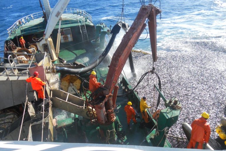 Pesca industrial de pelágicos. Foto: Oceana. Pesca industrial de pelágicos. Foto: Oceana