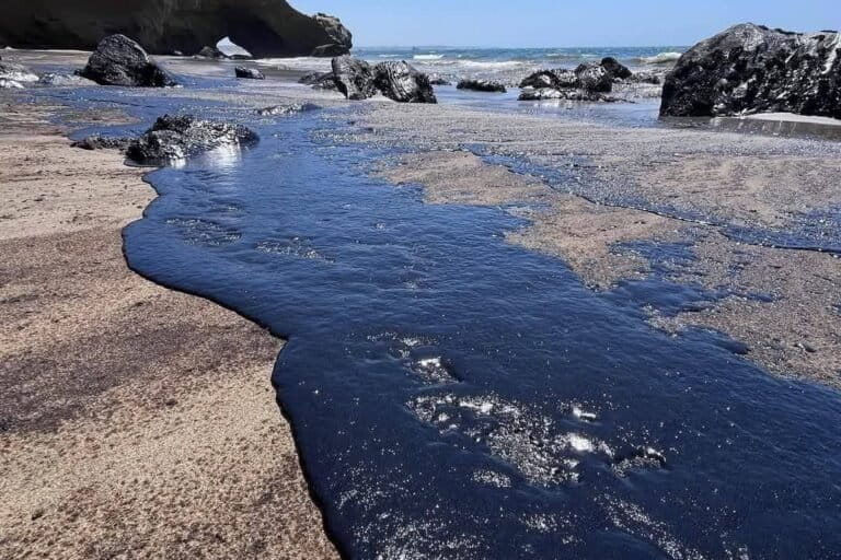 Un derrame de petróleo afectó las playas de Lobitos, en el norte de Perú, en diciembre de 2024. Foto: Municipalidad de Lobitos