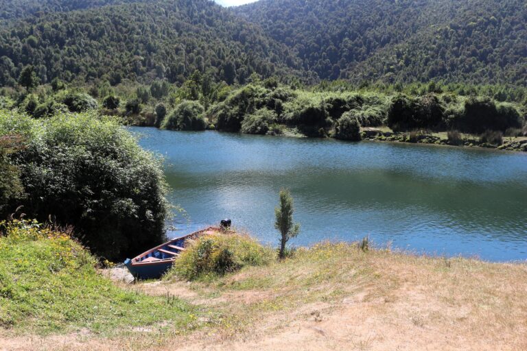 Río Huellelhue es parte del Área de Conservación de Múltiples Usos (ACMU) Lafken Mapu Lahual, cuyas comunidades tienen una relación histórica con el mar, los ríos, los bosques y las especies que allí habitan. Foto: cortesía Pesca Sustentable Río Huellelhue es parte del Área de Conservación de Múltiples Usos (ACMU) Lafken Mapu Lahual, cuyas comunidades tienen una relación histórica con el mar, los ríos, los bosques y las especies que allí habitan. Foto: cortesía Pesca Sustentable