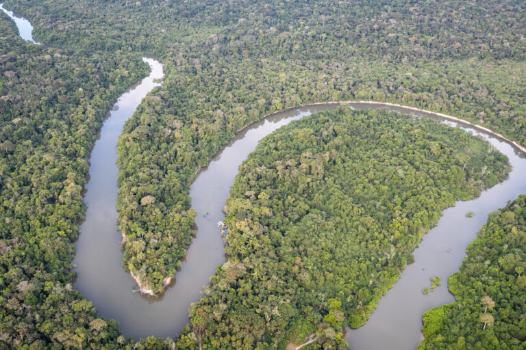 La Amazonía es una región prioritaria para conservar y también uno de los lugares más peligrosos para los defensores. Foto: Cícero Pedrosa Neto / Global Witness