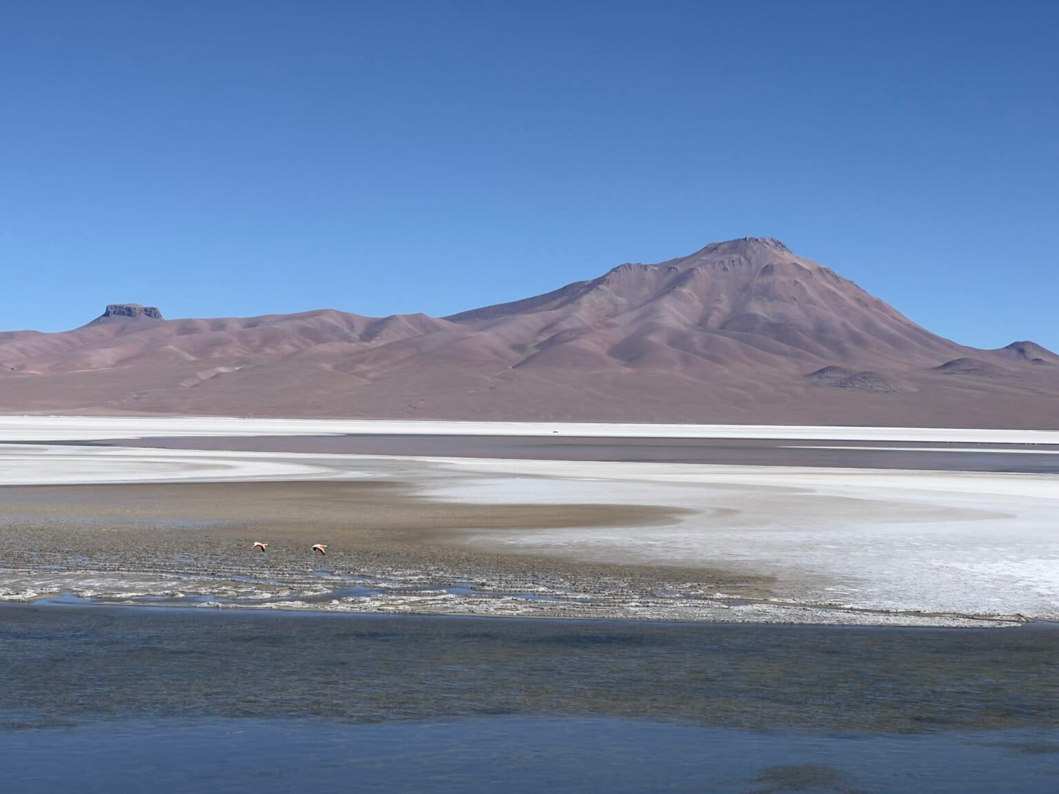 El salar de Pastos Grandes, en Potosí, con bofedales (humedales) de agua dulce. Foto: Rocío Lloret El salar de Pastos Grandes, en Potosí, con bofedales (humedales) de agua dulce. Foto: Rocío Lloret