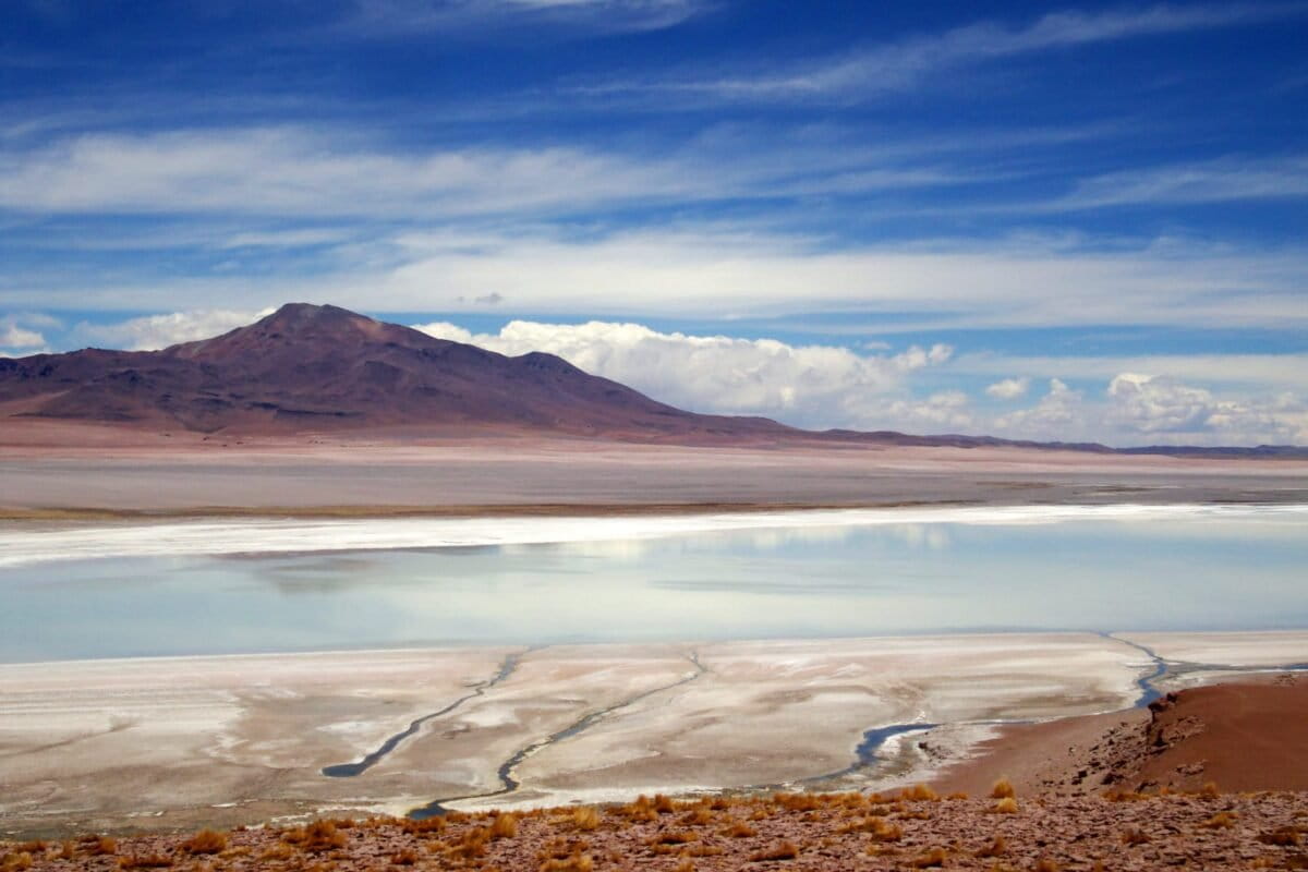 Salar de Tara. Foto: cortesía Cristina Dorador. Salar de Tara. Foto: cortesía Cristina Dorador