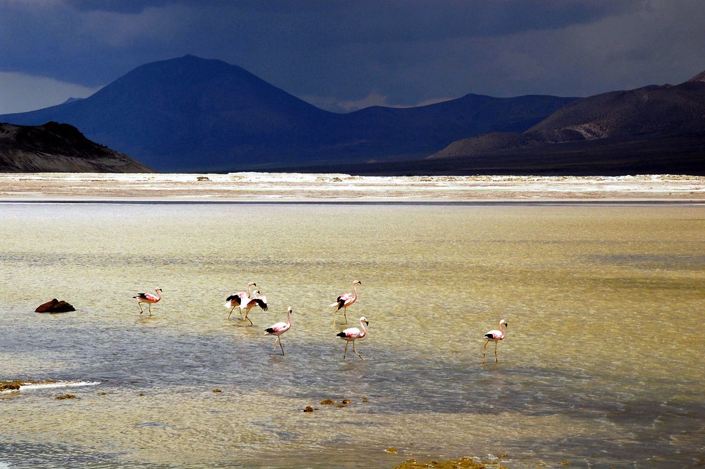 Salar de Surire.
